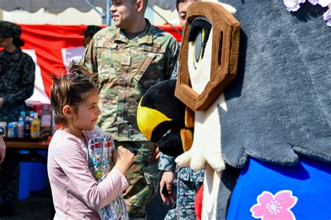jasdf mascot|japan jasdf.